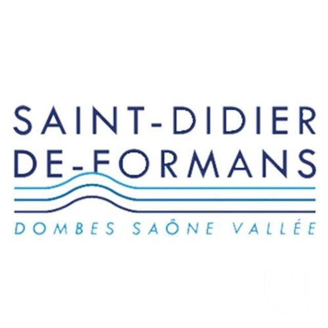 terrain à vendre - 1000.0 m2 - ST DIDIER DE FORMANS - 01 - RHONE-ALPES - Century 21 L'Immobilière Jassans