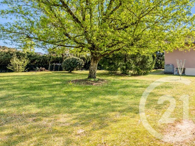 terrain à vendre - 1085.0 m2 - MONTMERLE SUR SAONE - 01 - RHONE-ALPES - Century 21 L'Immobilière Jassans