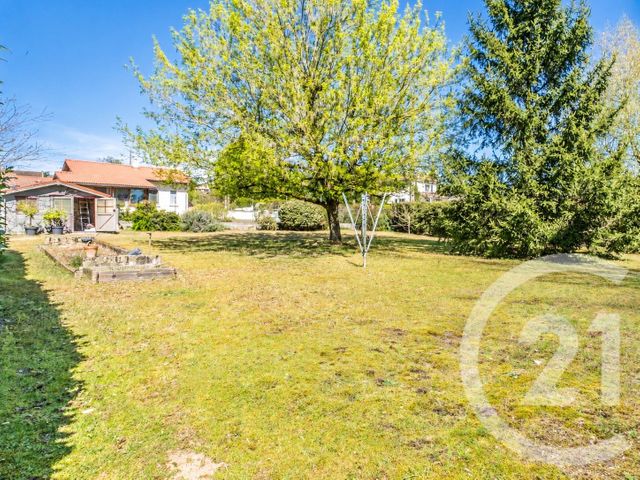 terrain - MONTMERLE SUR SAONE - 01